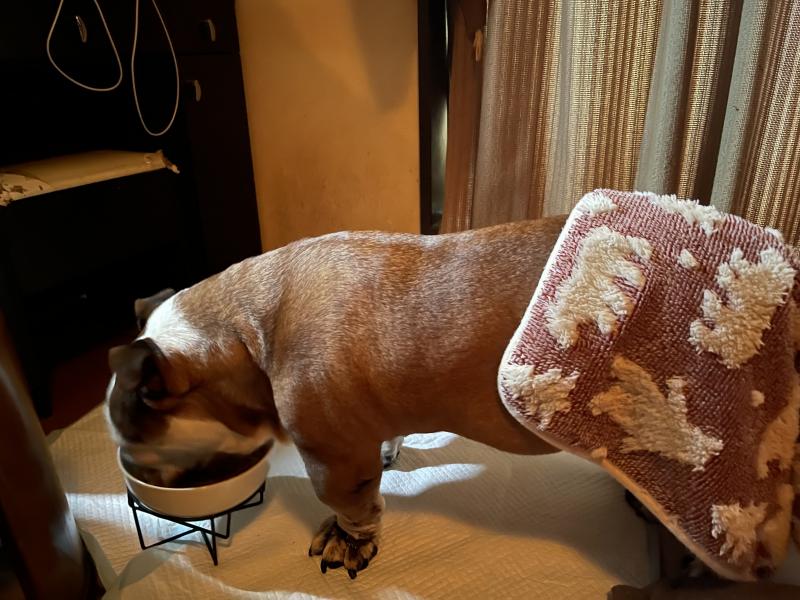 ぶるお記事画像