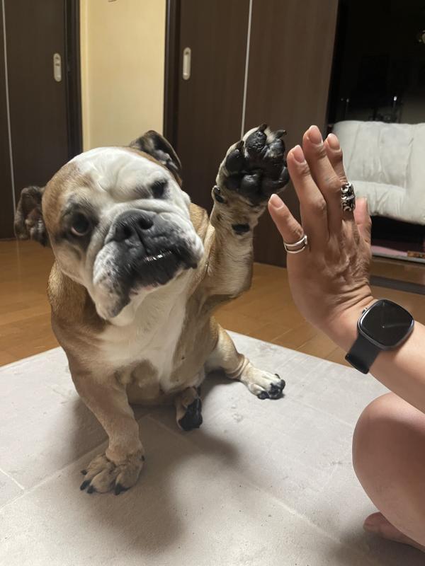 ぶるお記事画像