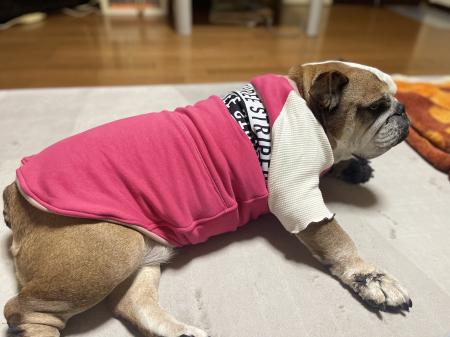 ぶるお記事画像