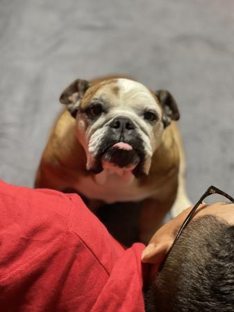 ぶるお記事画像