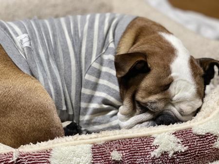 ぶるお記事画像