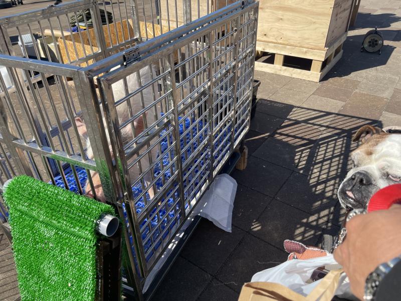 ぶるお記事画像