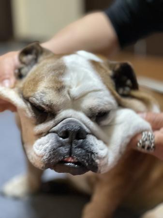 ぶるお記事画像