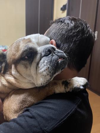 ぶるお記事画像