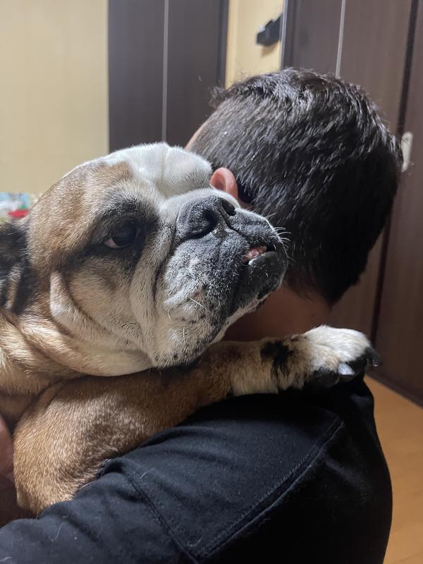 ぶるお記事画像