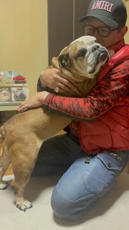 ぶるお記事画像