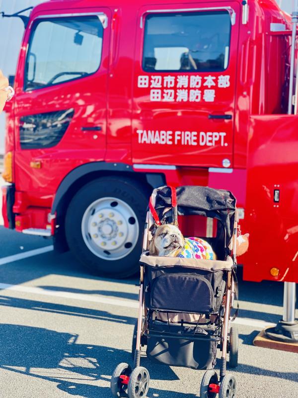 ぶるお記事画像