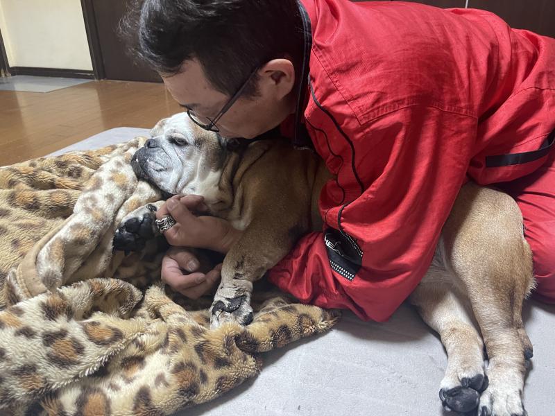 ぶるお記事画像