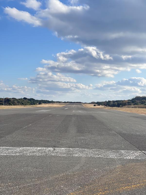 ぶるお記事画像