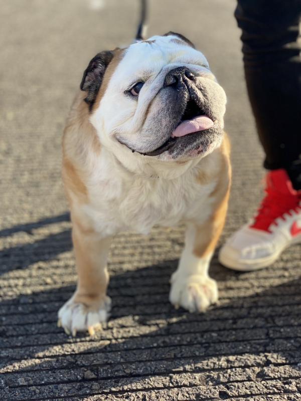 ぶるお記事画像