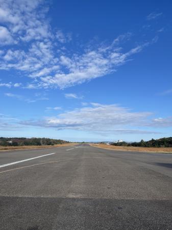 ぶるお記事画像