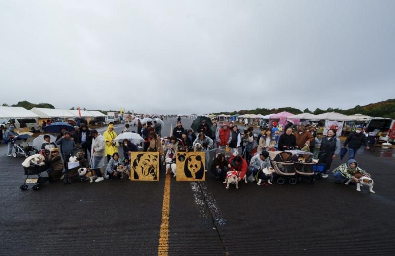 ぶるお記事画像