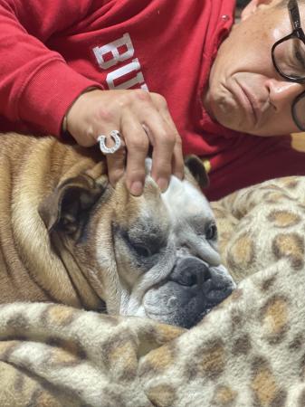 ぶるお記事画像