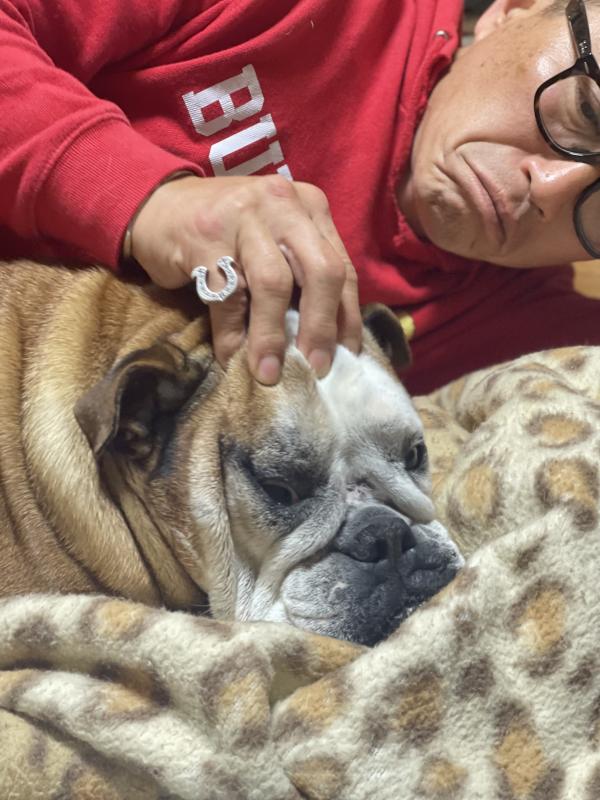 ぶるお記事画像