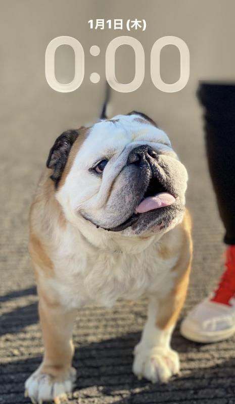 ぶるお記事画像