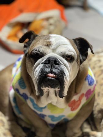 ぶるお記事画像