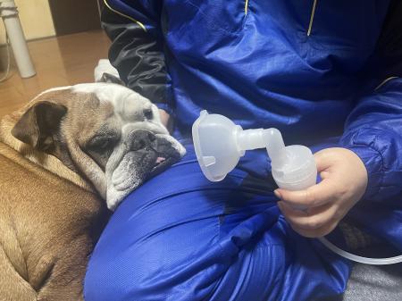 ぶるお記事画像