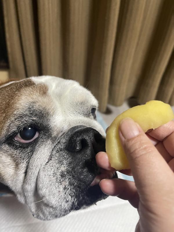 ぶるお記事画像