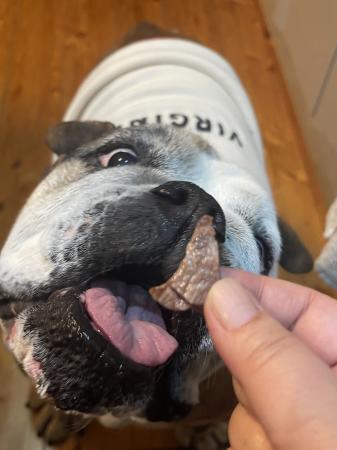 ぶるお記事画像