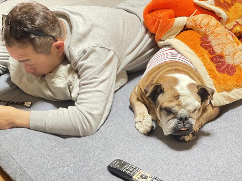 ぶるお記事画像