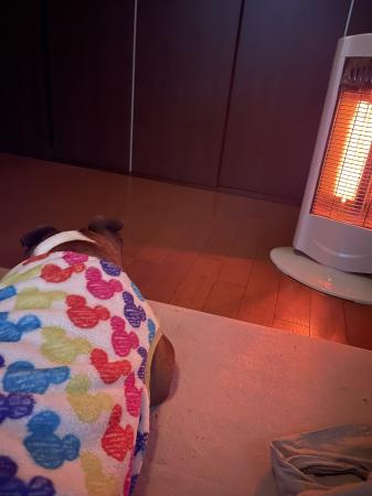 ぶるお記事画像