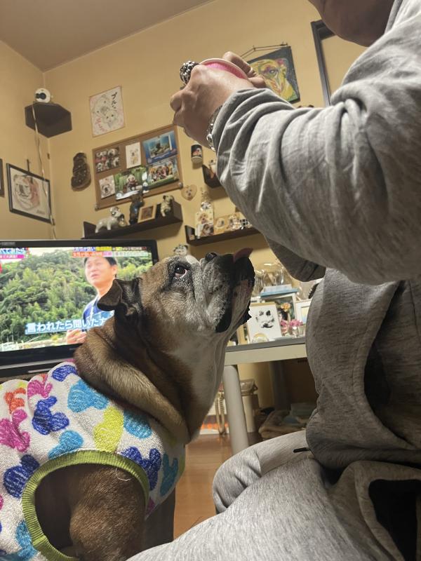 ぶるお記事画像