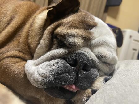 ぶるお記事画像