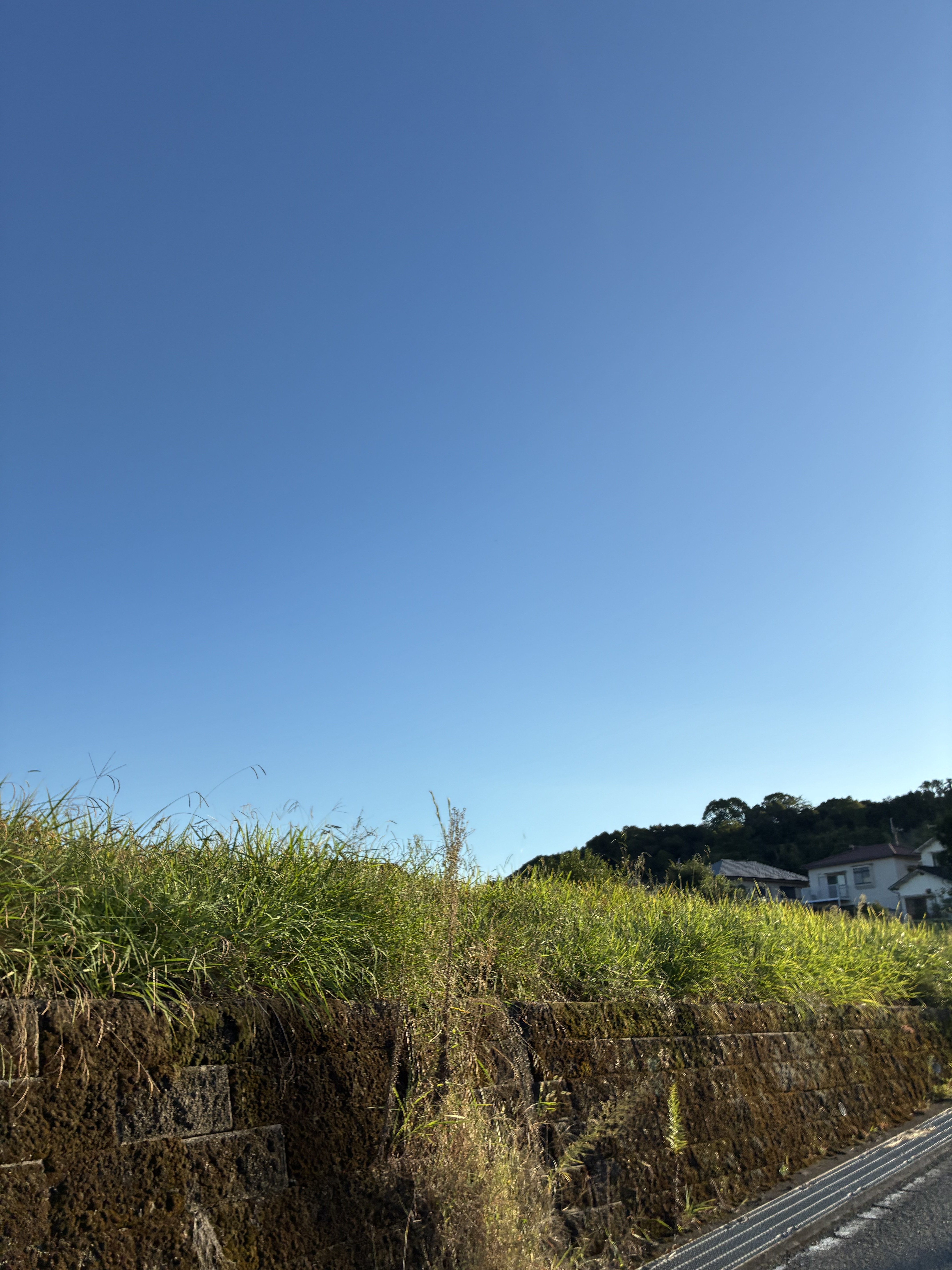 記事コンテンツ画像