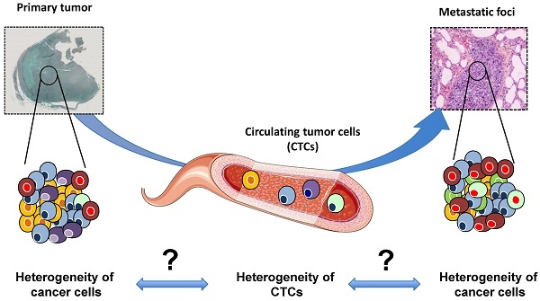 記事コンテンツ画像