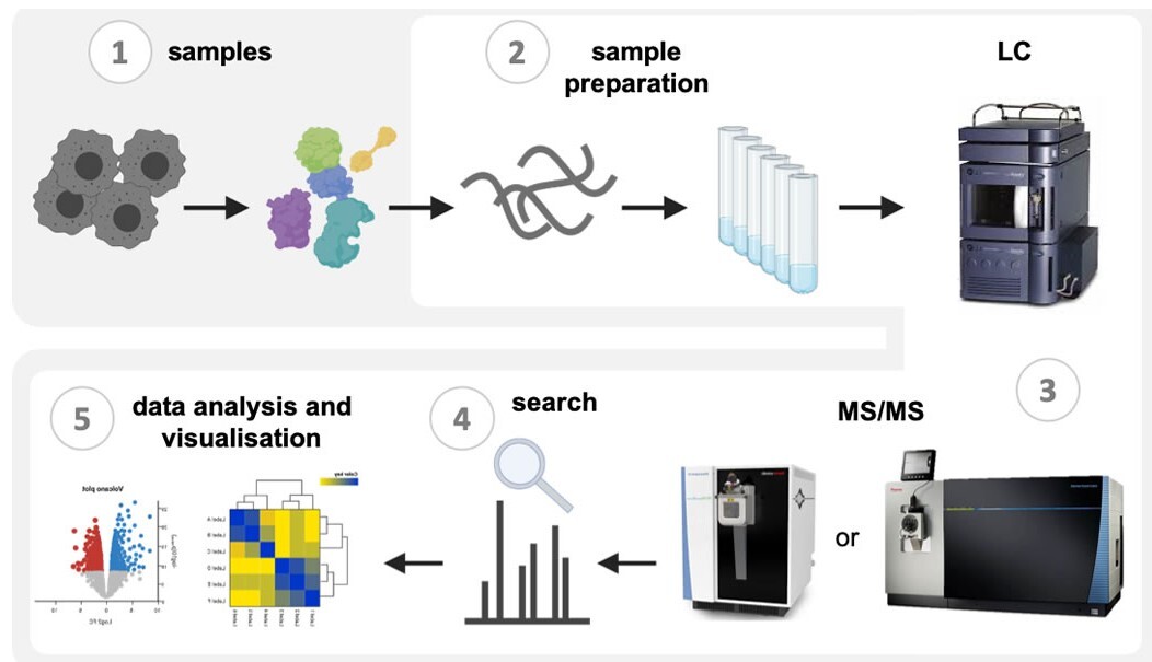 記事コンテンツ画像