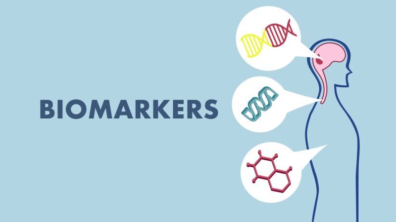 記事コンテンツ画像