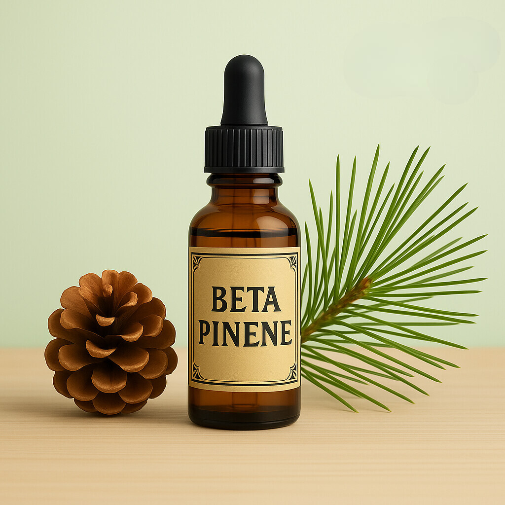 記事コンテンツ画像