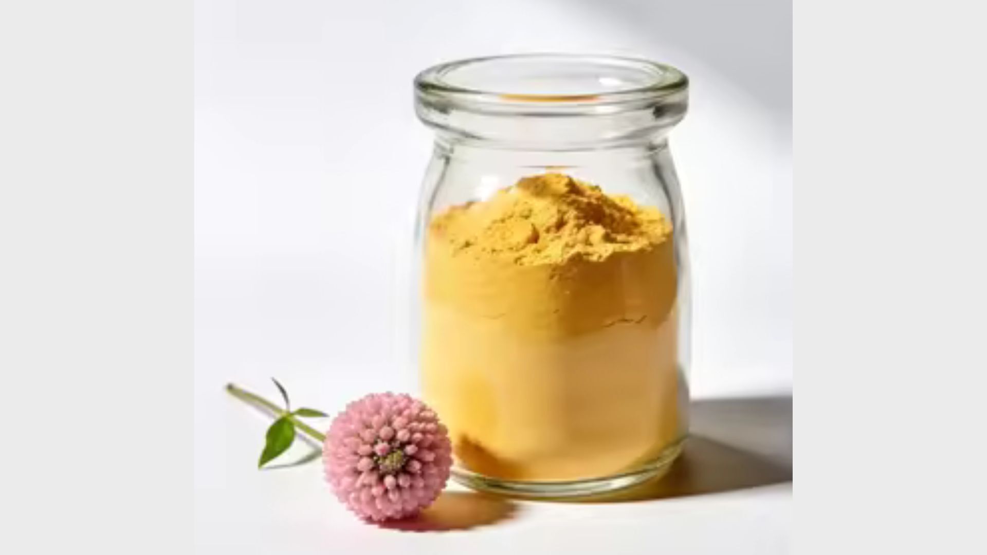 記事コンテンツ画像