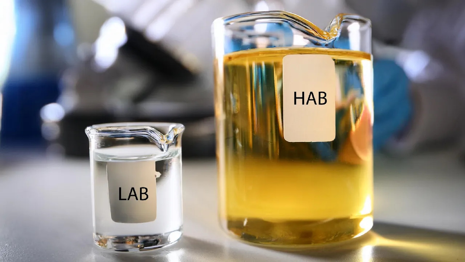 記事コンテンツ画像