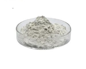 記事コンテンツ画像