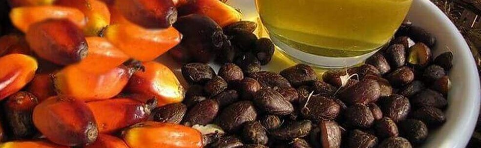 記事コンテンツ画像