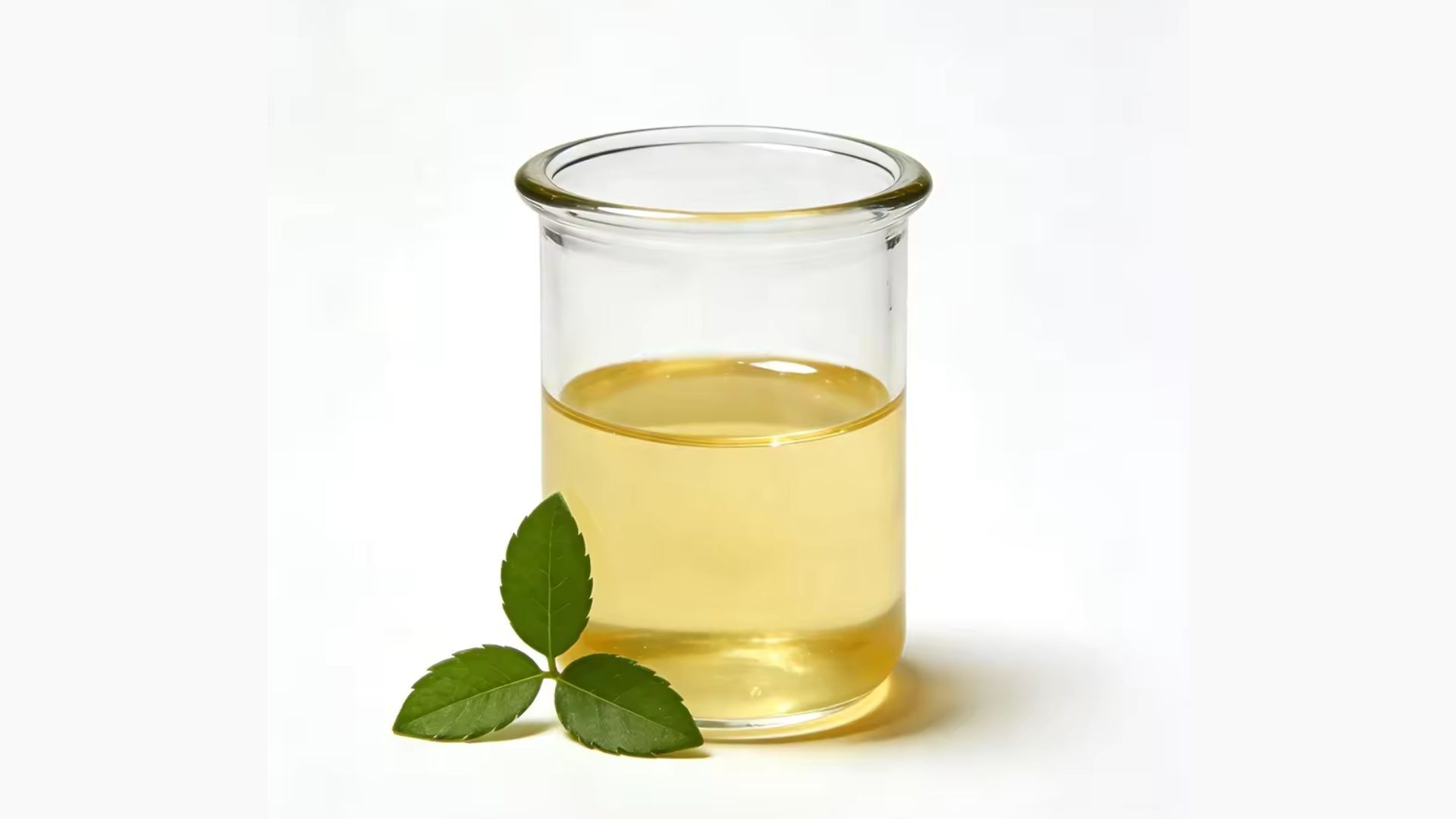 記事コンテンツ画像