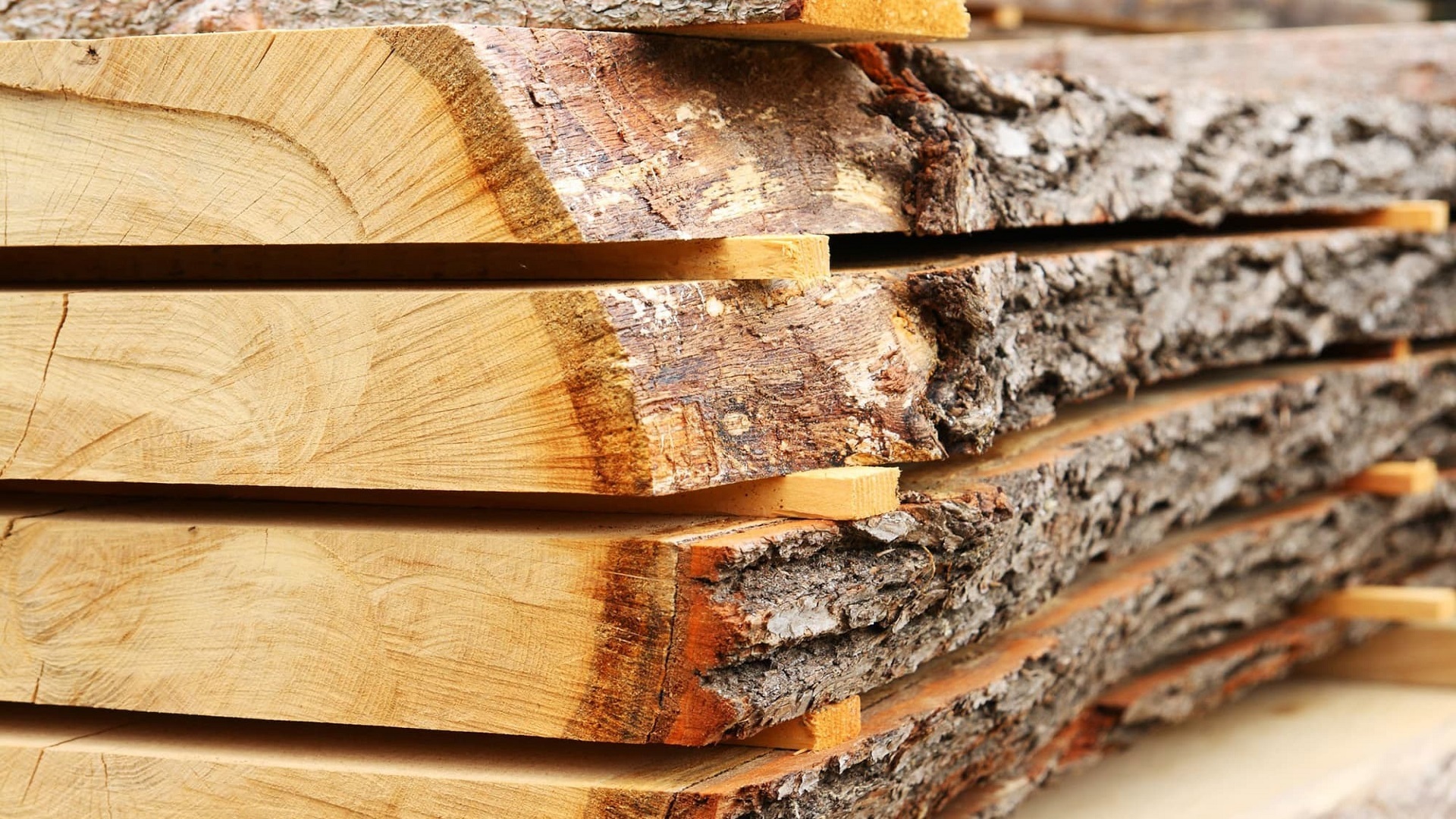 記事コンテンツ画像