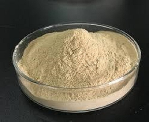 記事コンテンツ画像