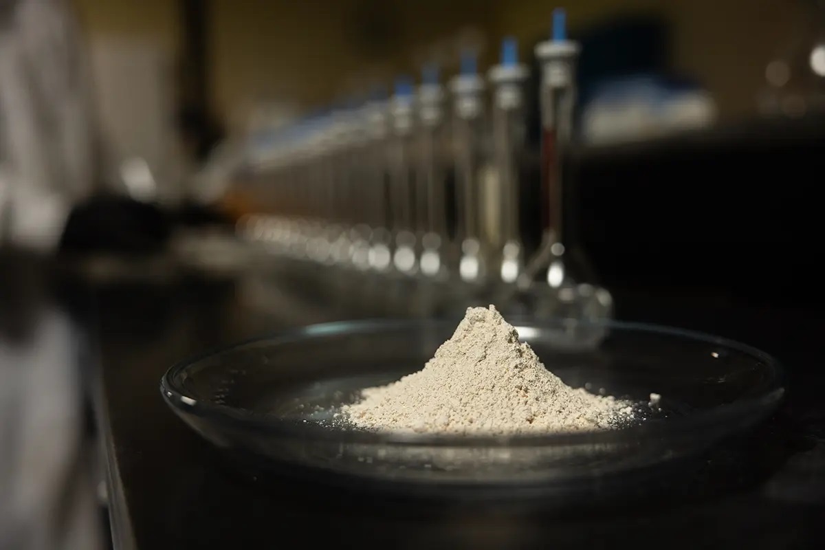 記事コンテンツ画像