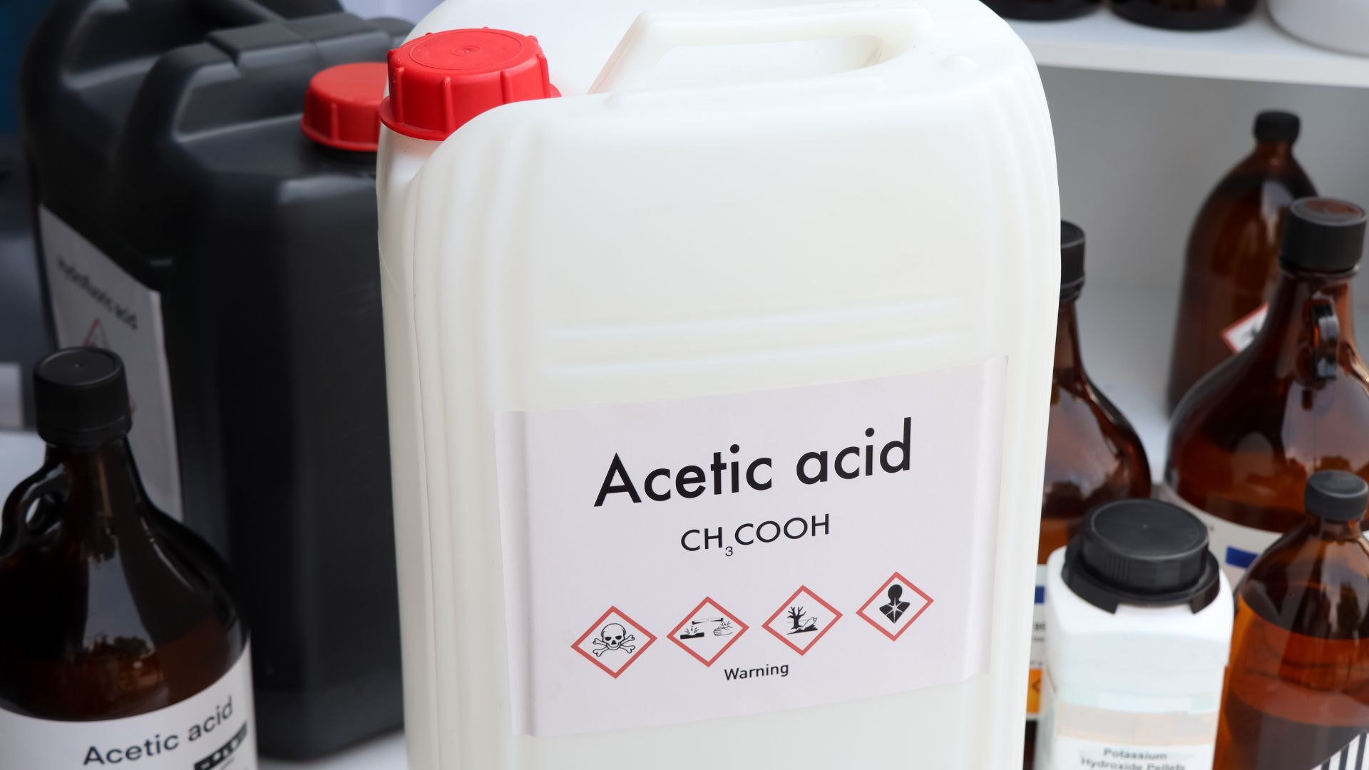 記事コンテンツ画像