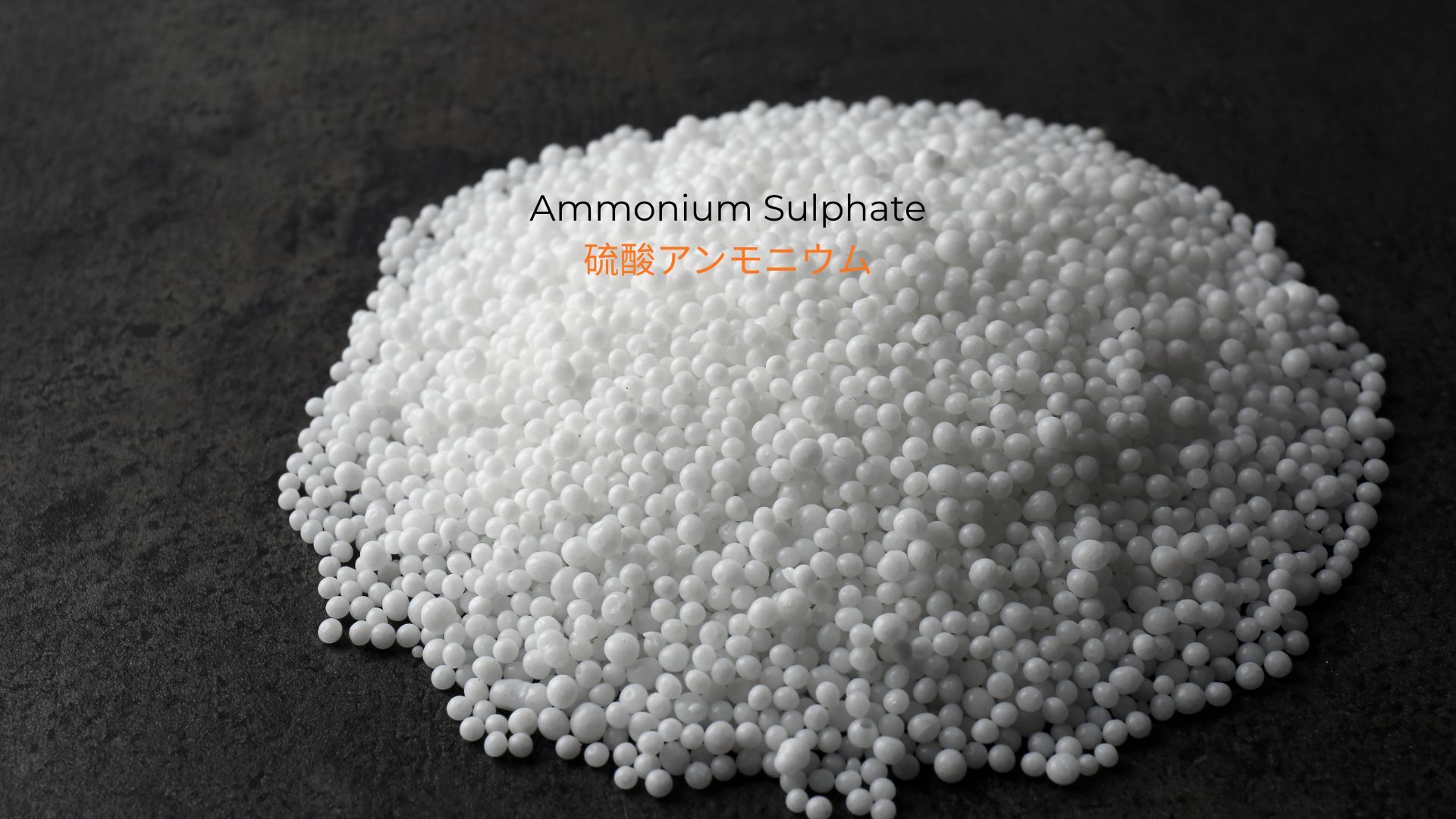 記事コンテンツ画像