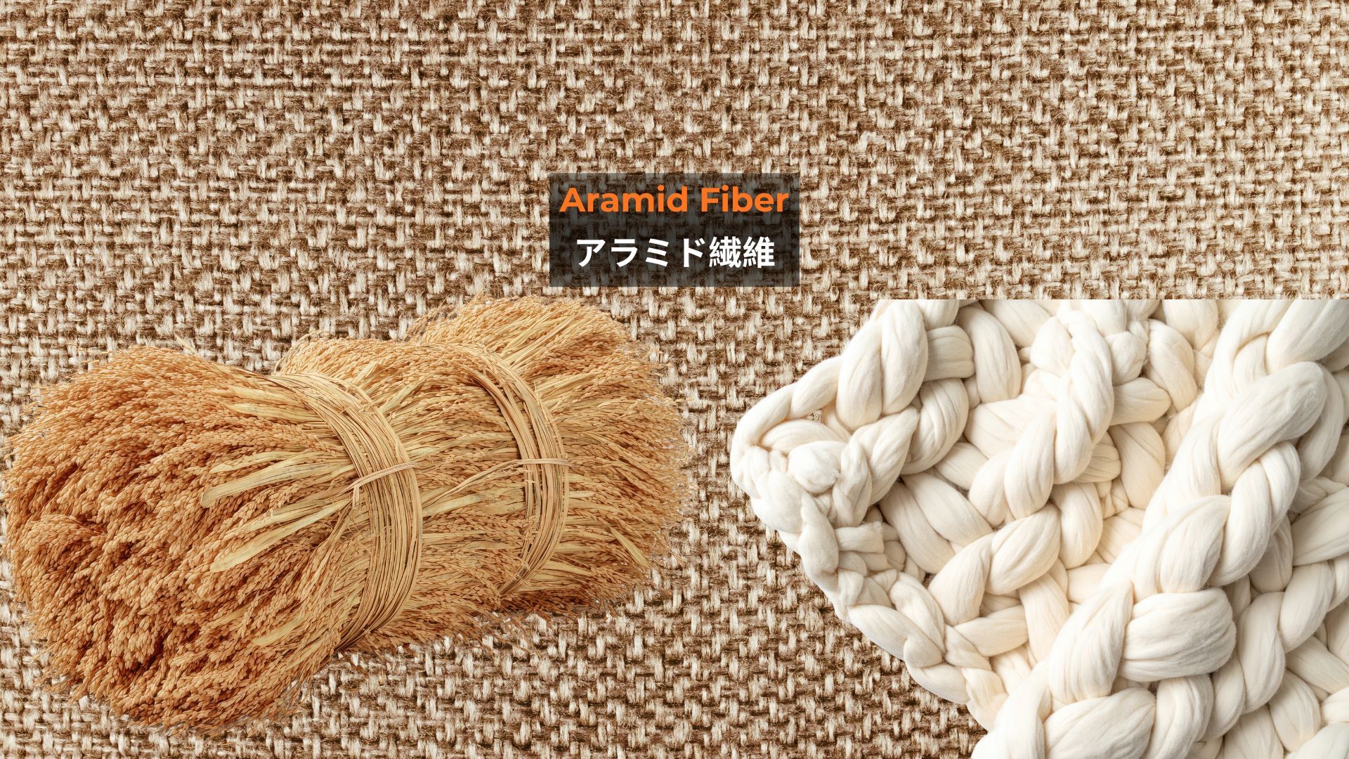 記事コンテンツ画像