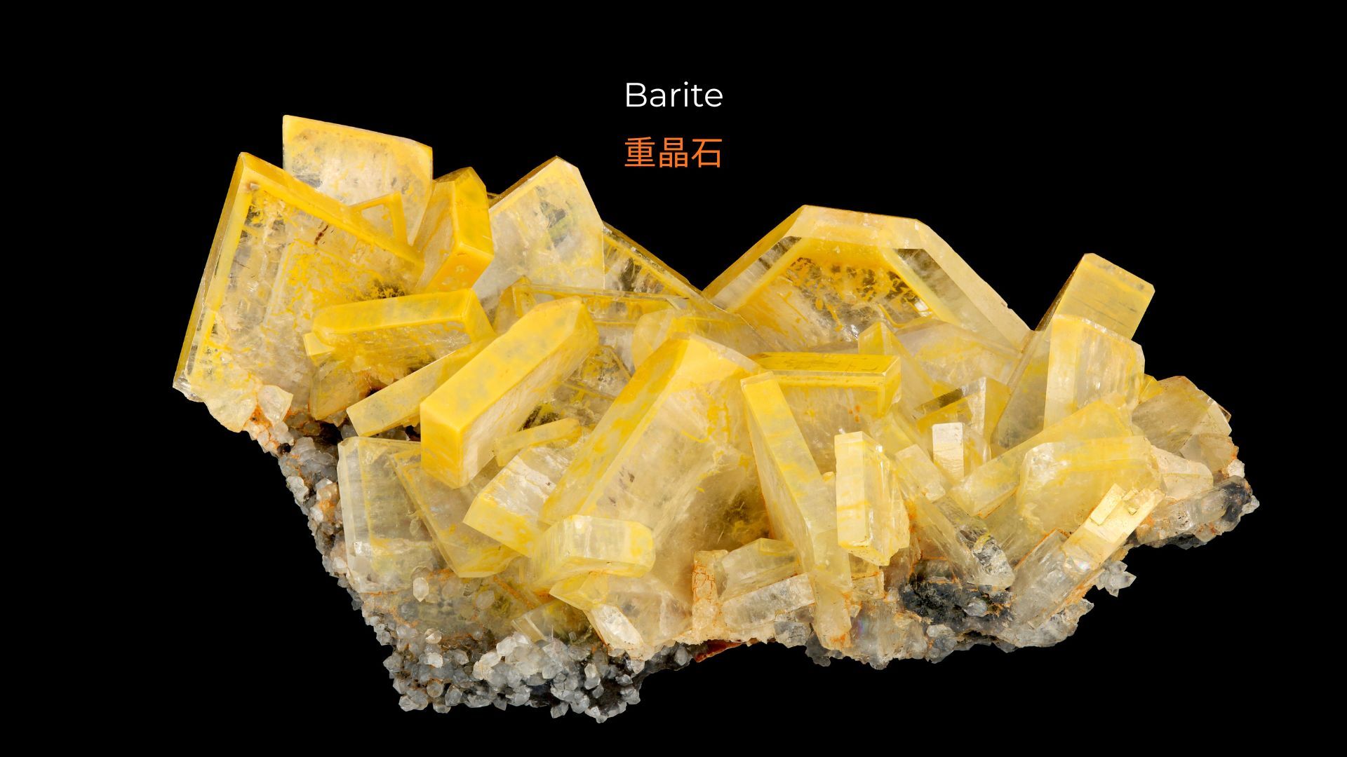 記事コンテンツ画像