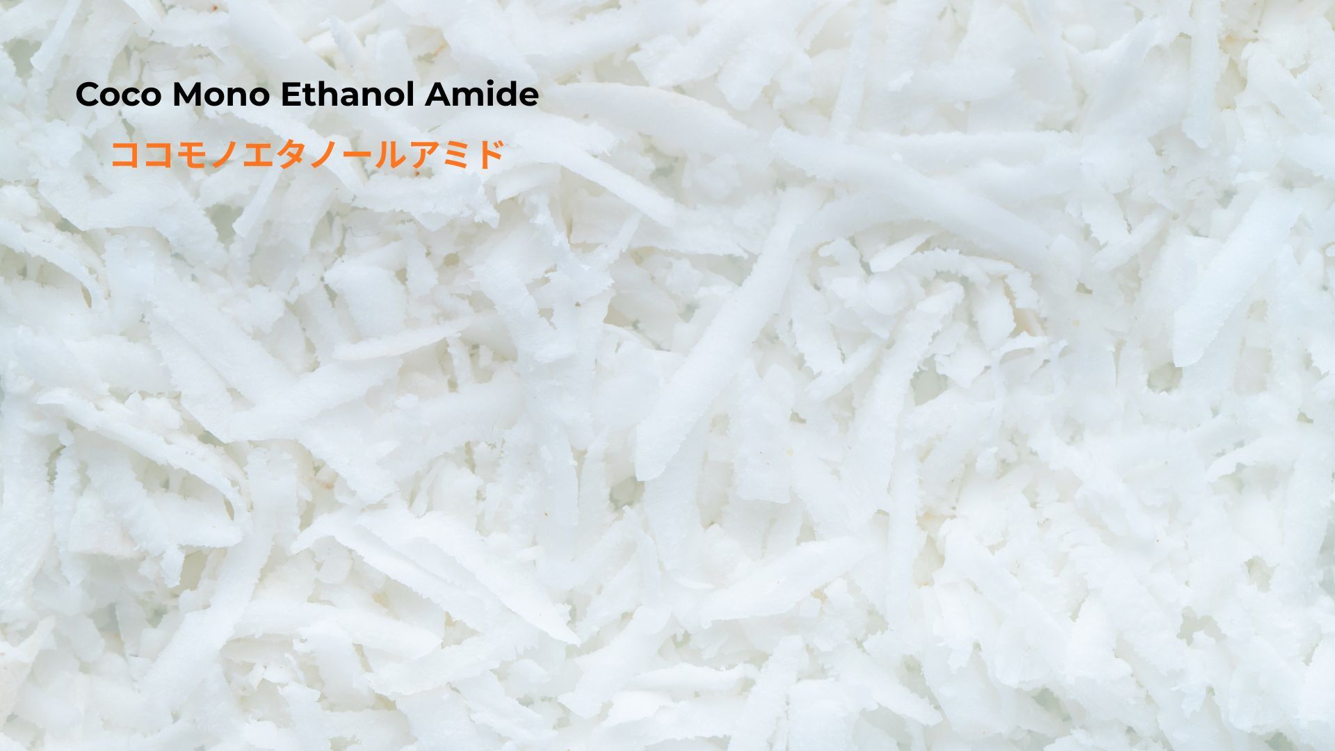 記事コンテンツ画像