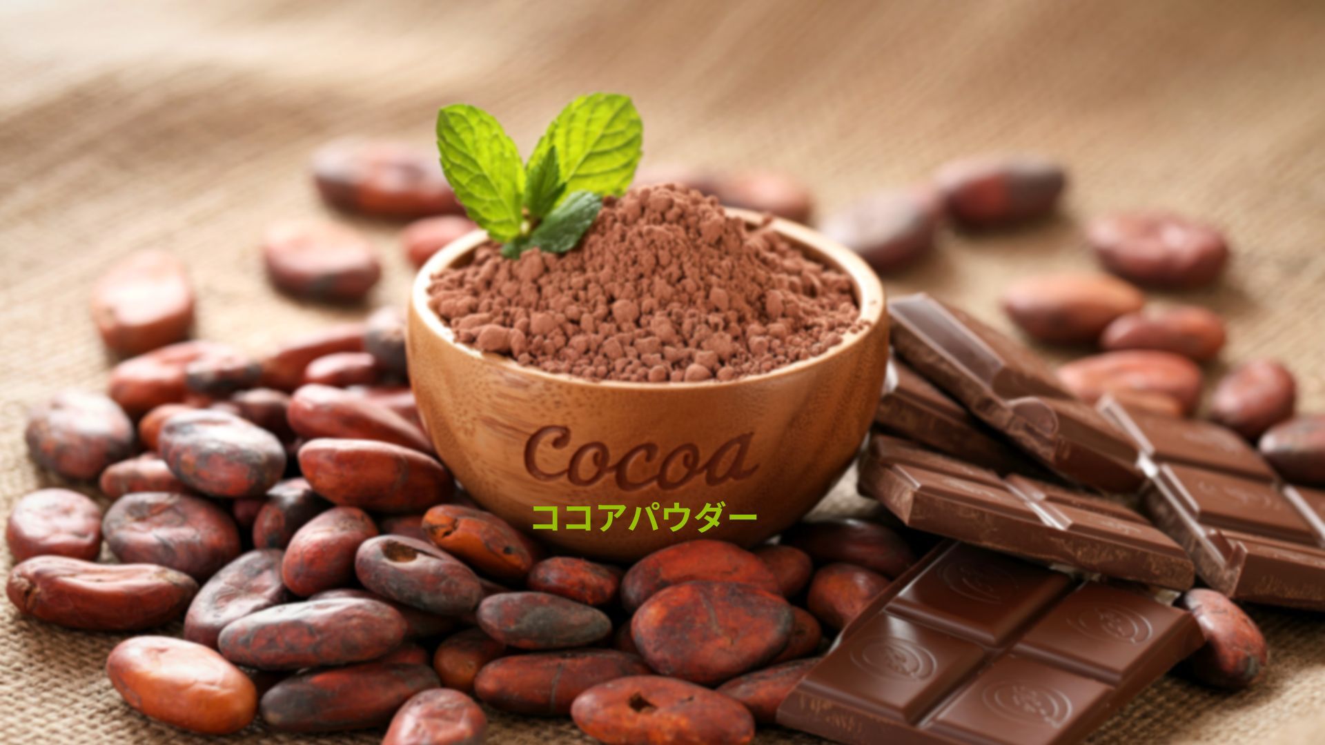 記事コンテンツ画像