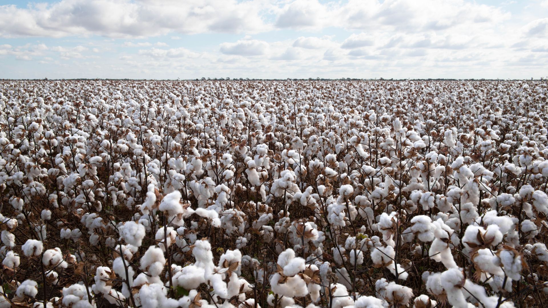 記事コンテンツ画像