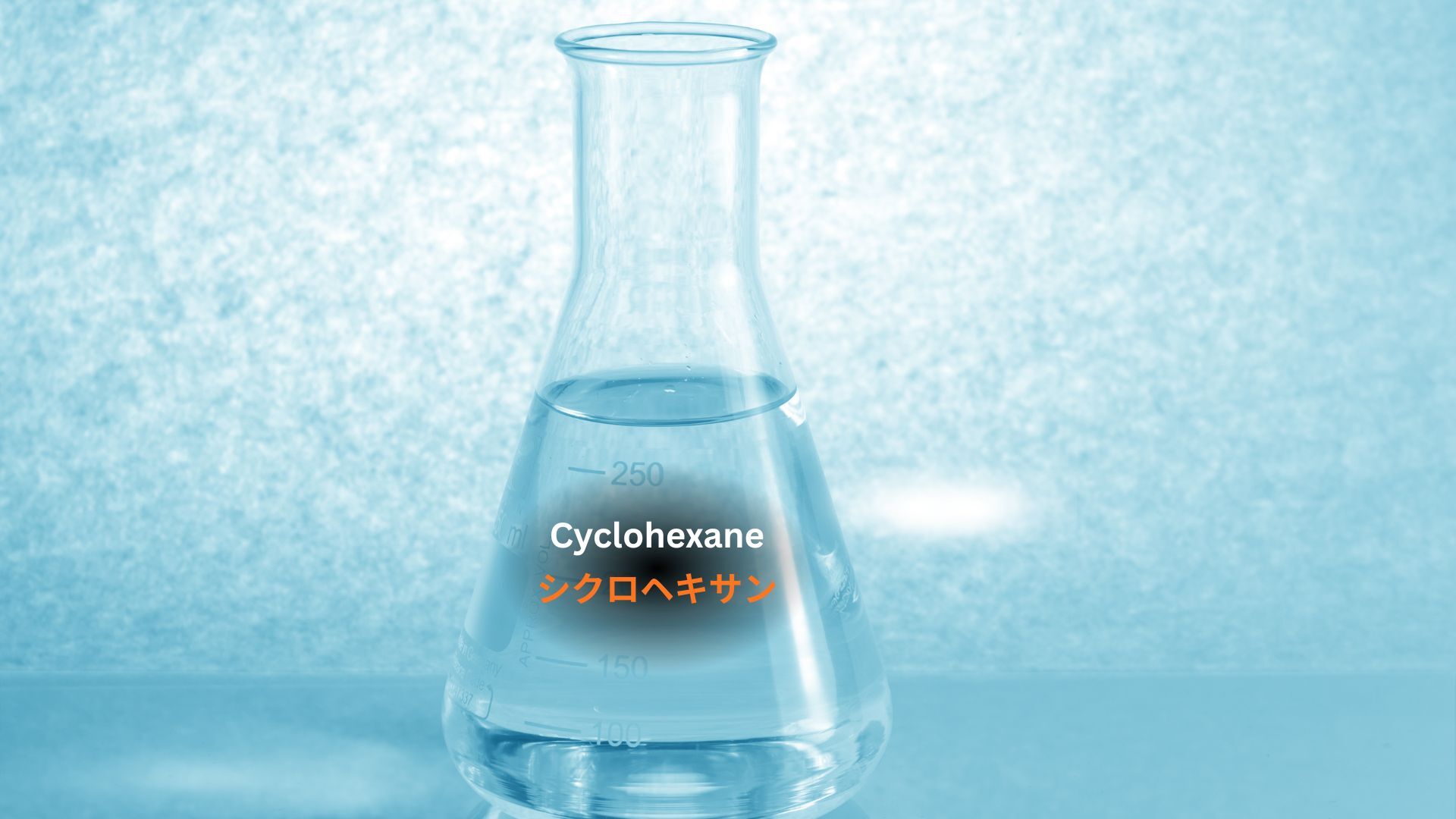 記事コンテンツ画像