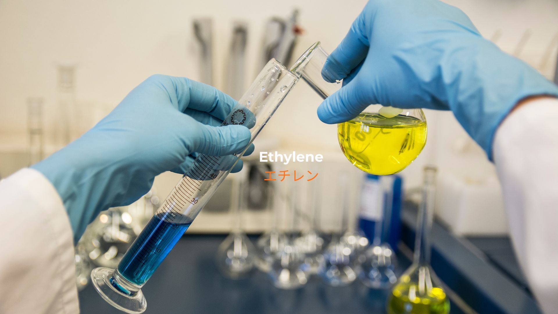 記事コンテンツ画像