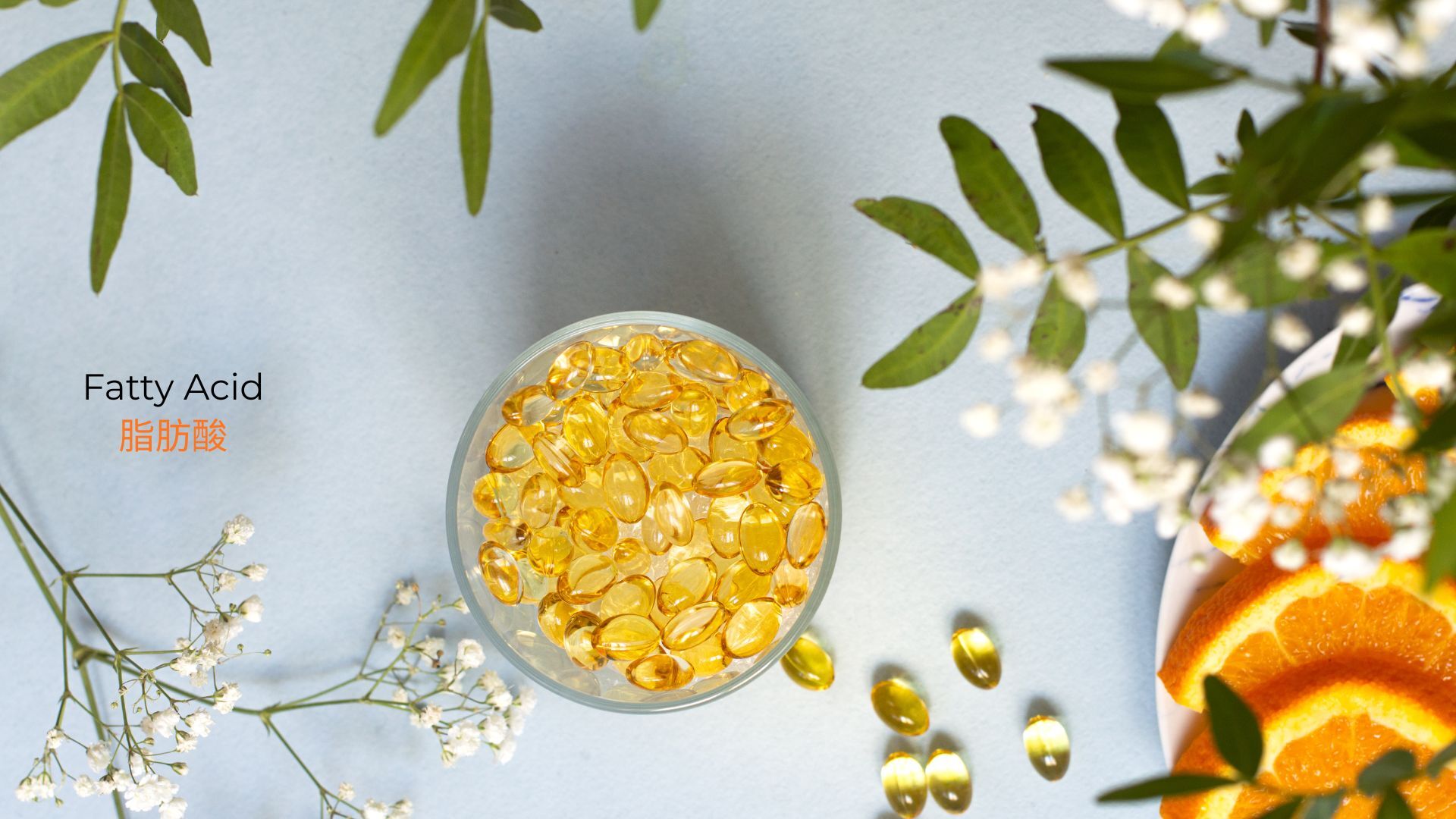 記事コンテンツ画像